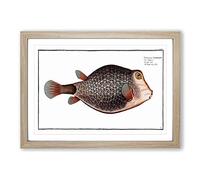Knitted Trunk-Fish by M.E. Bloch Framed Print | A2 Oak Framed Wall Art | Ready to Hang | Modern Animal Picture | Living Room Bedroom Lounge Office
