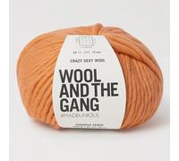 Knitting Wool and the Gang Crazy Sexy Wool - Chunky Merino Plain Crochet Yarn - Paradise Peach