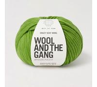 Knitting Wool and the Gang Crazy Sexy Wool - Chunky Merino Plain Crochet Yarn - Wonderland Green