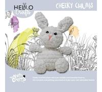 KNITTY CRITTERS Cheeky Chums - Bunny