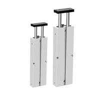 KNIUWMBMH Double Twin-Rod Pneumatic Cylinder TN 10 16 20 25 32mm Aluminum Alloy Stroke 200 250 300 350 400 450mm Air Cylinder(Stroke 250mm,TN10)