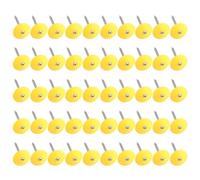 Knnuey 2Inch Plastic Round Cap Roofing Nails Galvanized Tar Paper Nails for House Wrap Fastening Foam Board Roofing Felt, 50PCS