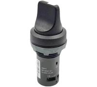 Knob Switch Selector Switch 2-Positions 3-Positions Switch C2SS1-10B-11 C2SS1-10B-10 C3SS1-10B-11(C3SS2-10B-20)