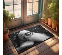 Knock Before Entering Door Sign Santa'S Gaze In Winter Wonderland Doormat Farmhouse Front Door Mat Fall Door Rug(40X60CM)