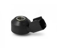 Knock sensor 60221 FAE for JAGUAR LAND ROVER FORD