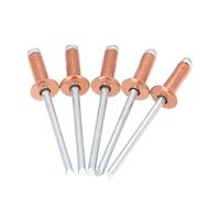 Knock Type Expansion, Blind Rivets Copper Dome Head Open Type Pack of 30pcs Or 50pcs Multiple Sizes(30pcs,3.2x16 mm)