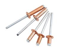 Knock Type Expansion, Copper Pull Core Blind Rivet Open Type Round Head Multiple Sizes(M3.2x12mm-5pcs)