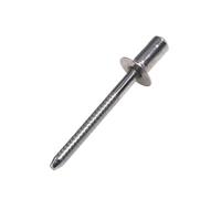 Knock Type Expansion, Sealed Blind Rivets Countersunk Head Stainless Steel Multiple Sizes 30/50pcs(4.8x8 Mm,30Pcs)