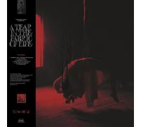 Knocked Loose - A Tear In The Fabric of Life [VINYL]