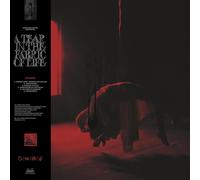 Knocked Loose - A Tear In The Fabric of Life [VINYL]