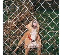 Knocked Loose - Pop Culture [VINYL]