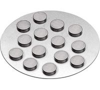 Knorr Prandell 10 x 2 mm 12-Piece Magnetic Button, Black