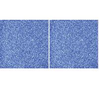 Knorr Prandell 218236711 Colour Sand 0, 1-0.5 mm 500 ml, Colour: Blue (Pack of 2)