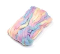 Knorr Prandell Space Dyed Wool Roving 25g - Pastel