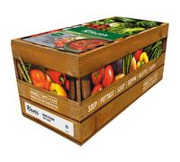 Knorr Professional 100% Minestrone Soup - 4x2.5ltr