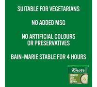 Knorr Professional Classic Cream of Leek Soup 25 Portions