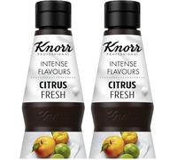 Knorr Professional Intense Flavours Citrus 400 ml | Citrus Mix for a Fruit Punch (Pack of 2)