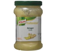 Knorr Professional Puréed Herbs Ginger Jar, Ginger Paste, 750g