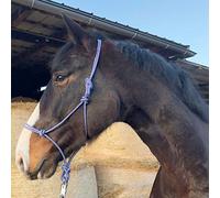Knot Halter for Floor Work Horse - Knot Halter Cob Ideal for Outdoor Work, Ground Work, Lead or Loading Training (Pony, Royal Blue-White)