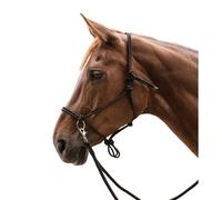 Knot halter for horse with reins Waldhausen