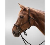 Knot halter for pony with reins Waldhausen