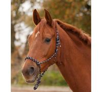 Knot pony halter Waldhausen