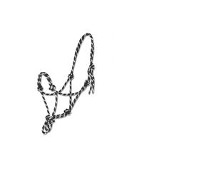 Knotted Halter - Cob - Black/White