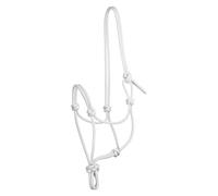 Knotted rope halter for horse Pool's