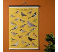 Know Your Garden Birds - British Bird Identification A1 Poster