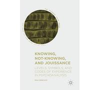 Knowing, Not-Knowing, and Jouissance: Levels, Symbols, and Codes of Experience in Psychoanalysis (The Palgrave Lacan Series)