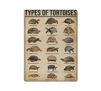 Knowledge of The Type of Tortoise Tin Sign Metal Plaque Art Hanging Iron Painting Retro Home Kitchen Garden Garage Wall Decor 16"x12"