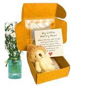 Knowlife Bear in Box - Bear Plush in Box,Handmade Little Animal Pocket Toy with Inspirational Card for Children Baby Shower Christmas Valentine's Day