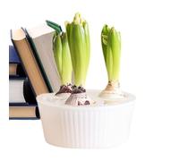Knowlife Hydroponic Plant Pot - 3-hole Hyacinth Growing Container,Planting Container | for Gardeners Apartment Office Beginners Indoor Windowsill Kitchen Living Room Bedroom Holiday Birthday