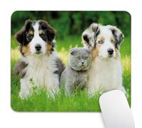 knseva Mouse Pad 9.5"x 7.9" Cute Australian Shepherd Puppies & Scottish Fold Kitten Adorable Dog Cat Friends in Green Grass, Durable Anti-Slip Reinforced Stitched Desk Mat