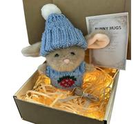 Knubbuf Mini Bunny Hug in a Box Easter Gifts for Kids, Handmade Crochet Pocket Hug with Inspirational Card, Mini Bunny Hug in a Box for Anxiety Relief, Friendship and Family Keepsake (04)