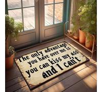 KNZR Closet Kitchen Mat Boho Area Luxurious Look Machine Washable Kitchen Warm & Cozy | Outdoor Rug Plastic Straw Rug The Only Advantage You Have Over Me Is You Can Kiss My Ass And I(50X80CM)