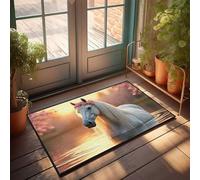 KNZR Funny Kitchen Decor Graceful Horse In Sunset Reflections Doormat Farmhouse Kitchen Mats Porch Decor(50X80CM)