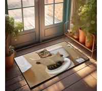 KNZR Spring Welcome Mats Outdoor Cat On Toilet: A Daily Newspaper Reader Doormat Bar Man Cave Decor Front Door Mat Funny(50X80CM)