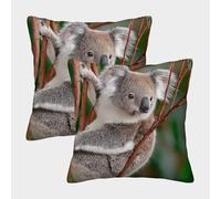 Koala Animal-wildlife Nature Style Pillow Covers 2 Pack Cozy Pillowcase Art Cushion Case with Zipper Decor Couch Living Room 50x50cm