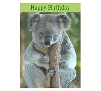Koala Bear Birthday Card