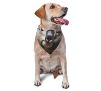 Koala Bear Dog Bandana Pet Scarf Accessories for Small Medium Dogs Cats Photo Prop, Triangle Pet Bandanas Adjustable Puppy Bib Washable Dog Kerchief Puppy Neckerchief