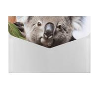 Koala Bear File Folder, Plastic Accordion File Folders with 6 Pockets, Expanding File Organizer with Snap Closure, Portable Document Paper Organizer, Office Supplies Filing Folders