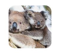Koala Bear Printed Coasters for Drinks Set of 6 PVC Leather Coasters Table Protection Coffee Cup Mat for Bar Kitchen Home - Square