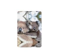 Koala Bear Printing Fashion Car Air Freshener Cards 10 Pcs Car Scented Hanging Sheets
