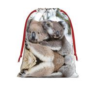 Koala Bear Ultra Soft Velvet Gift Bag, Comfortable To The Touch, Reusable