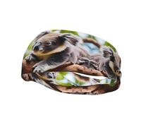 Koala Branch Perch Unique Customized Headbands for Men and Women - Stylish Sweat Bands for Running, Workout, and Sports - Moisture Wicking and Stretchable