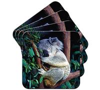 Koala Curled Up & Fast Asleep Coaster/Set of 4 Coasters