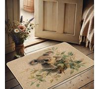 Koala Doormat, Cute Grey Koala Design for Spring & Summer Indoor/Outdoor Home Decor, Eco-Friendly Non-Slip Absorbent Entrance Mat, Easy to Clean 29x17 Inch