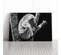 Koala in a Tree Black and White Canvas Print | Gallery Wrapped 30mm Frame Wall Art | 30x20 inches | Ready to Hang | Modern Animals Picture | Living Room Bedroom Lounge Office