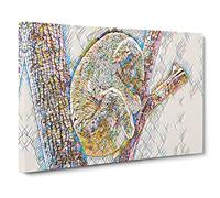 Koala in a Tree Black and White Modern BG Canvas Print | Gallery Wrapped 30mm Frame Wall Art | 30x20 inches | Ready to Hang | Modern Animals Picture | Living Room Bedroom Lounge Office